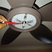 IMG-20251111-WA0042